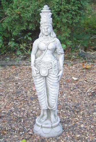KF23 Siamese Lady KF23 Siamese Lady